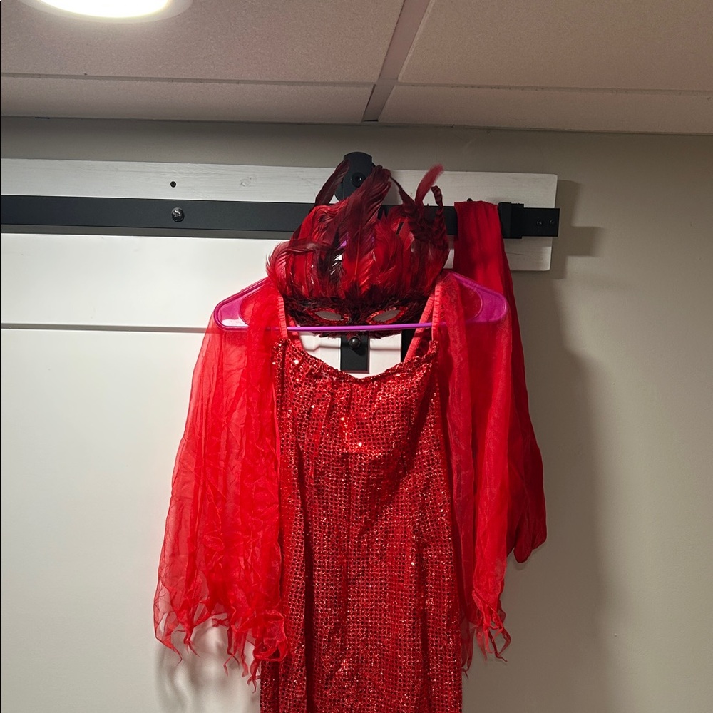 3 piece costume Rubie's Dazzling Red Sequin Dress with Feathered Headpiece